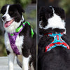 No Pull Dog Harness Vest Reflective Soft Running Training Belt - Best Buddy Store