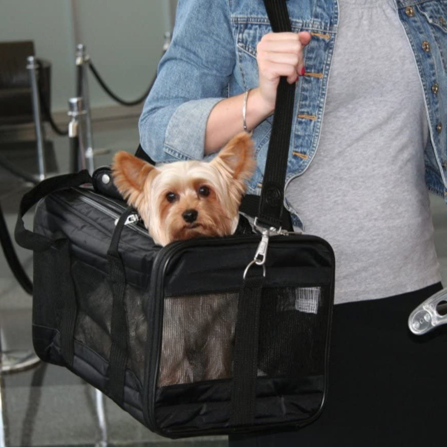 Original Airline Approved Pet Carrier, Soft Liner - Best Buddy Store
