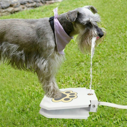 Outdoor Automatic Dog Water Fountain Step On Toy - Best Buddy Store