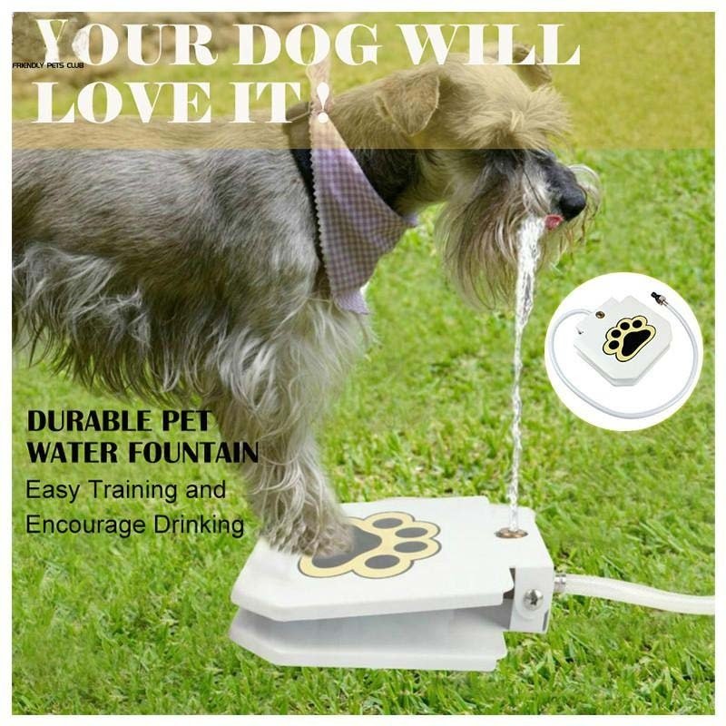 Outdoor Automatic Dog Water Fountain Step On Toy - Best Buddy Store