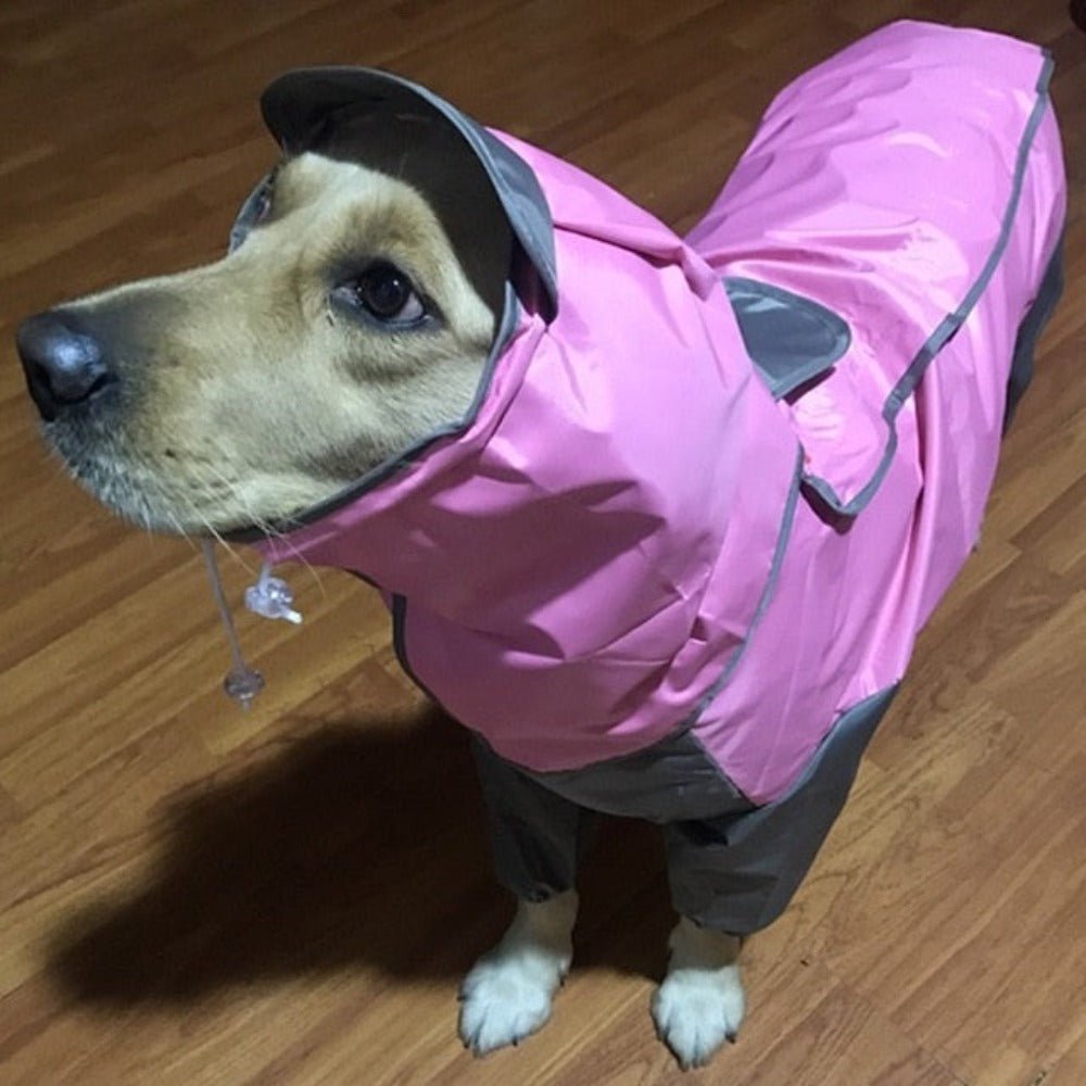 Outdoor Waterproof Dog Raincoat - Best Buddy Store