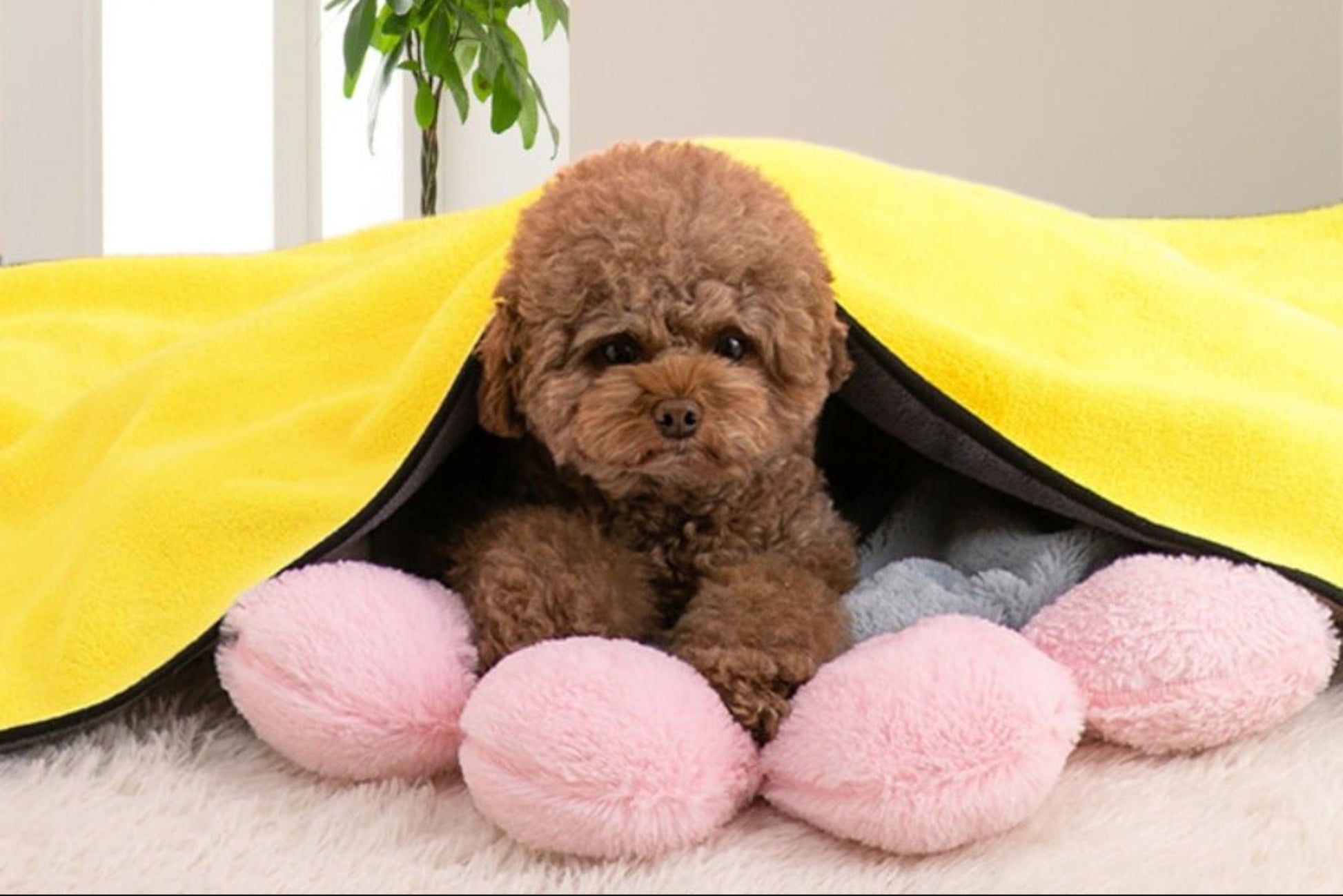 Pet Bath Super Absorbent Fiber Soft Quick - drying Bath Towel - Best Buddy Store