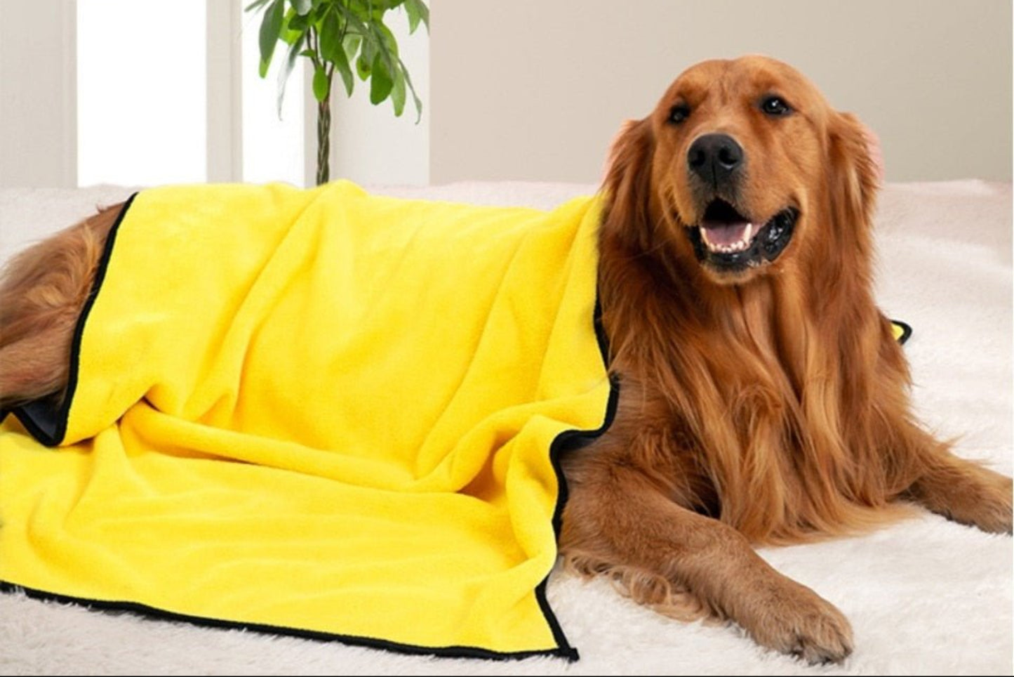 Pet Bath Super Absorbent Fiber Soft Quick - drying Bath Towel - Best Buddy Store