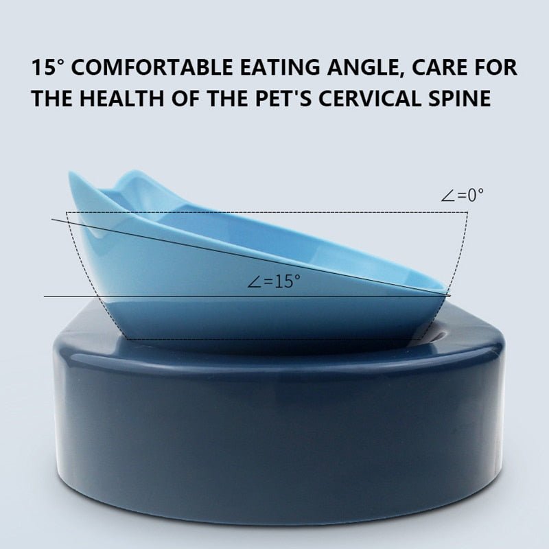 Pet Food Feeding Bowl Drinking Fountain Automatic Feeder Multifunction Bowl - Best Buddy Store