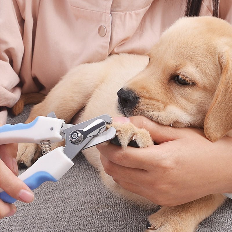 Pet Nail Clippers Dog Nail Toe Claw Clippers Scissors - Best Buddy Store