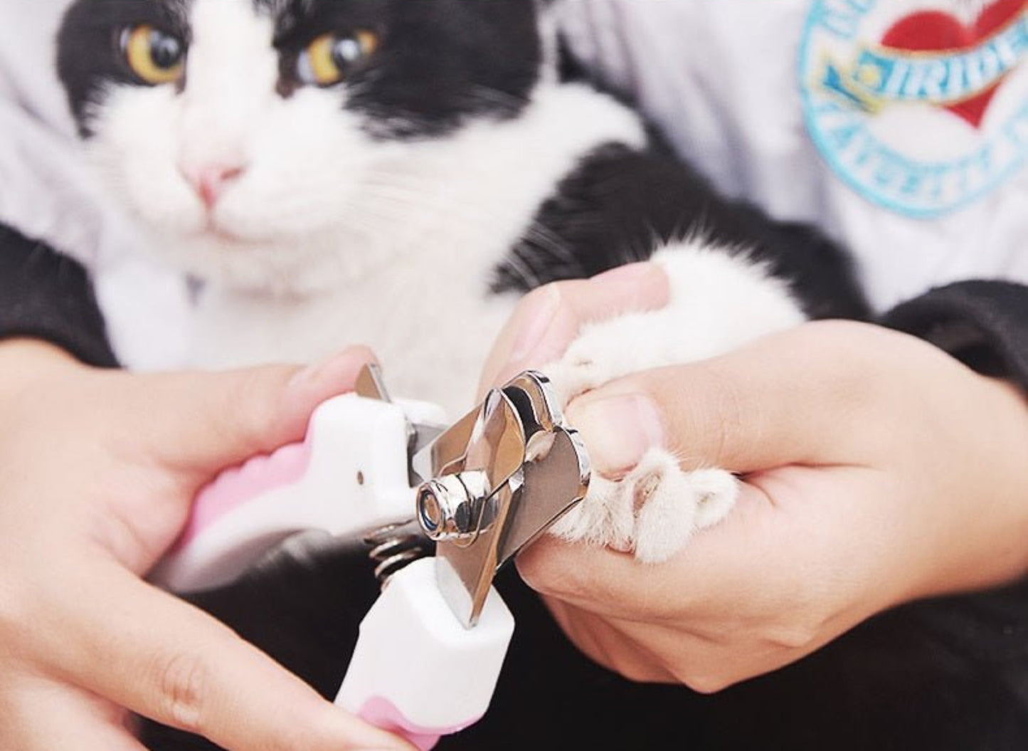 Pet Nail Clippers Dog Nail Toe Claw Clippers Scissors - Best Buddy Store