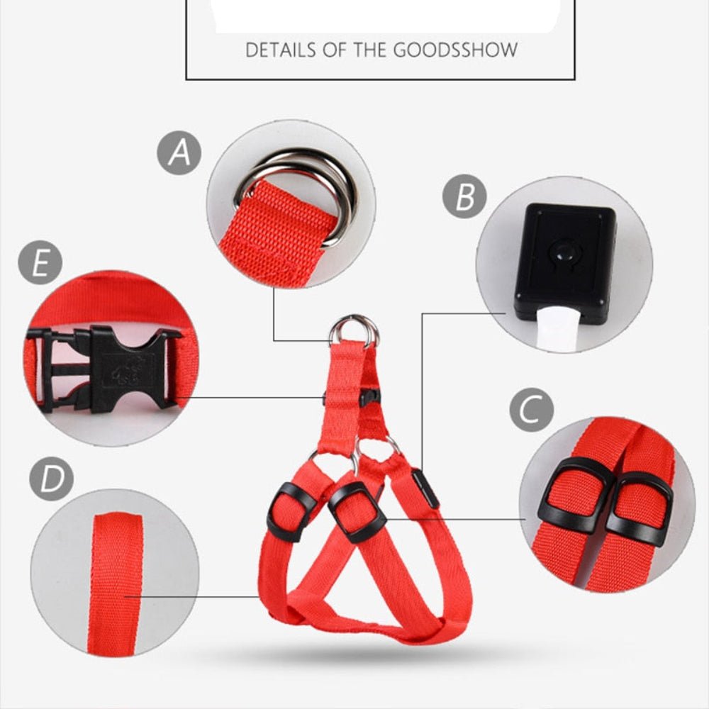 Pet Safety Harness Dog LED Flashing Light Harness - Best Buddy Store