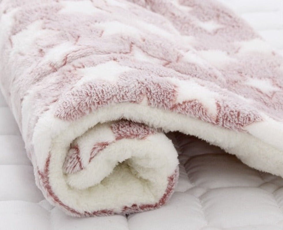 Pet Soft Thickened Fleece Blanket - Best Buddy Store