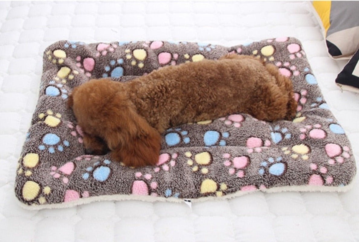 Pet Soft Thickened Fleece Blanket - Best Buddy Store