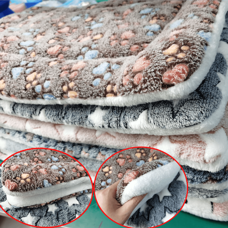 Pet Soft Thickened Fleece Blanket - Best Buddy Store