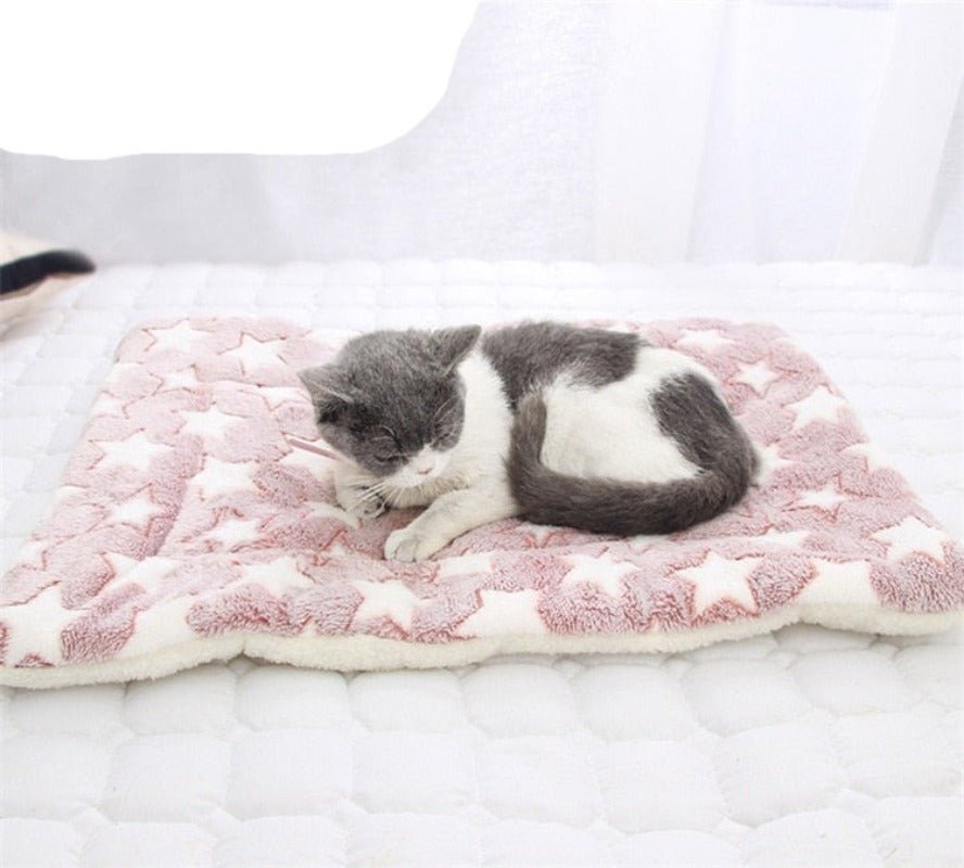 Pet Soft Thickened Fleece Blanket - Best Buddy Store