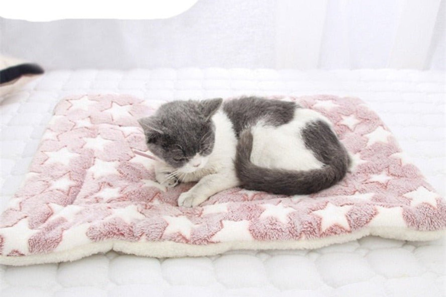 Pet Soft Thickened Fleece Blanket - Best Buddy Store