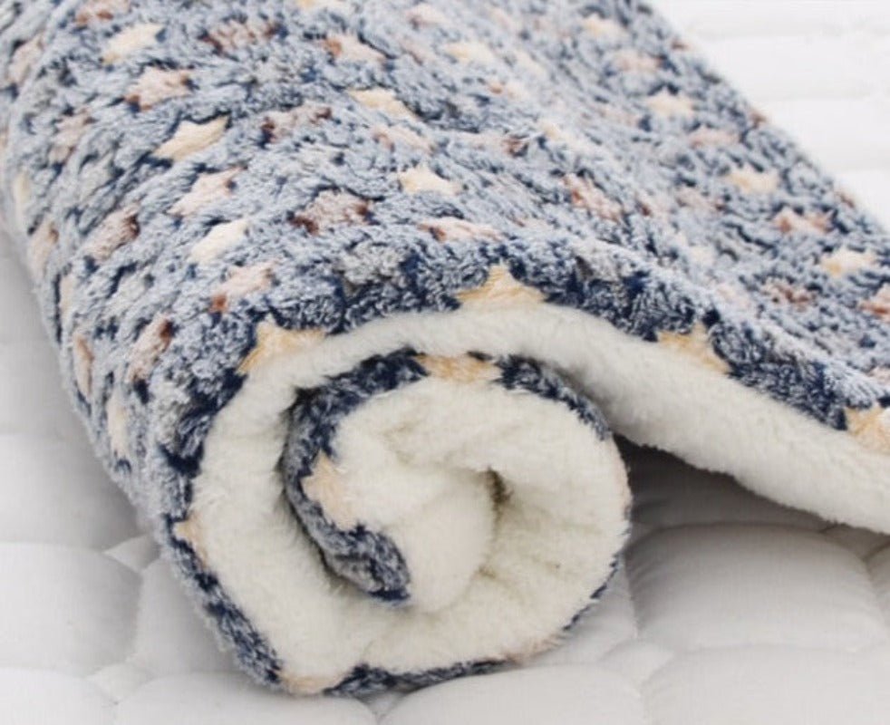 Pet Soft Thickened Fleece Blanket - Best Buddy Store