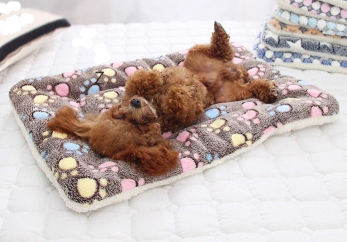 Pet Soft Thickened Fleece Blanket - Best Buddy Store