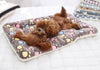 Pet Soft Thickened Fleece Blanket - Best Buddy Store