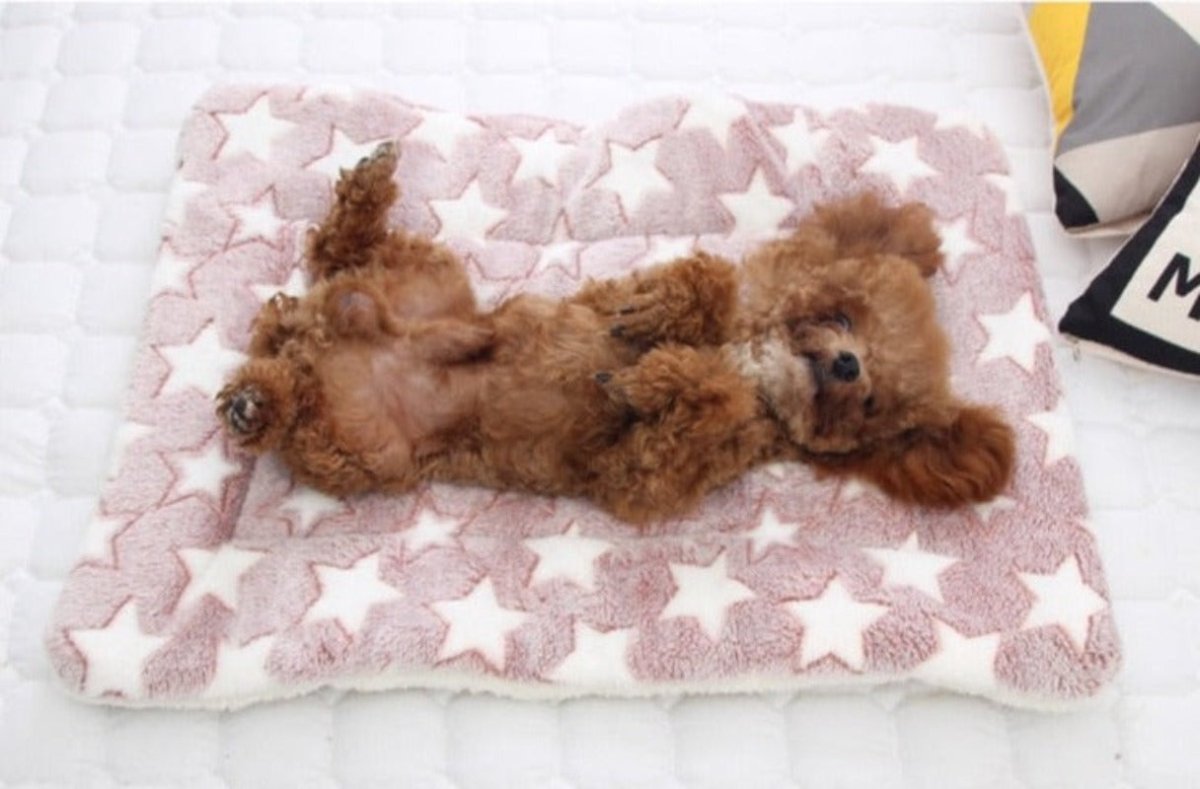 Pet Soft Thickened Fleece Blanket - Best Buddy Store