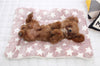 Pet Soft Thickened Fleece Blanket - Best Buddy Store