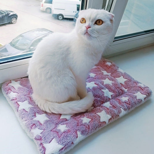 Pet Soft Thickened Fleece Blanket - Best Buddy Store