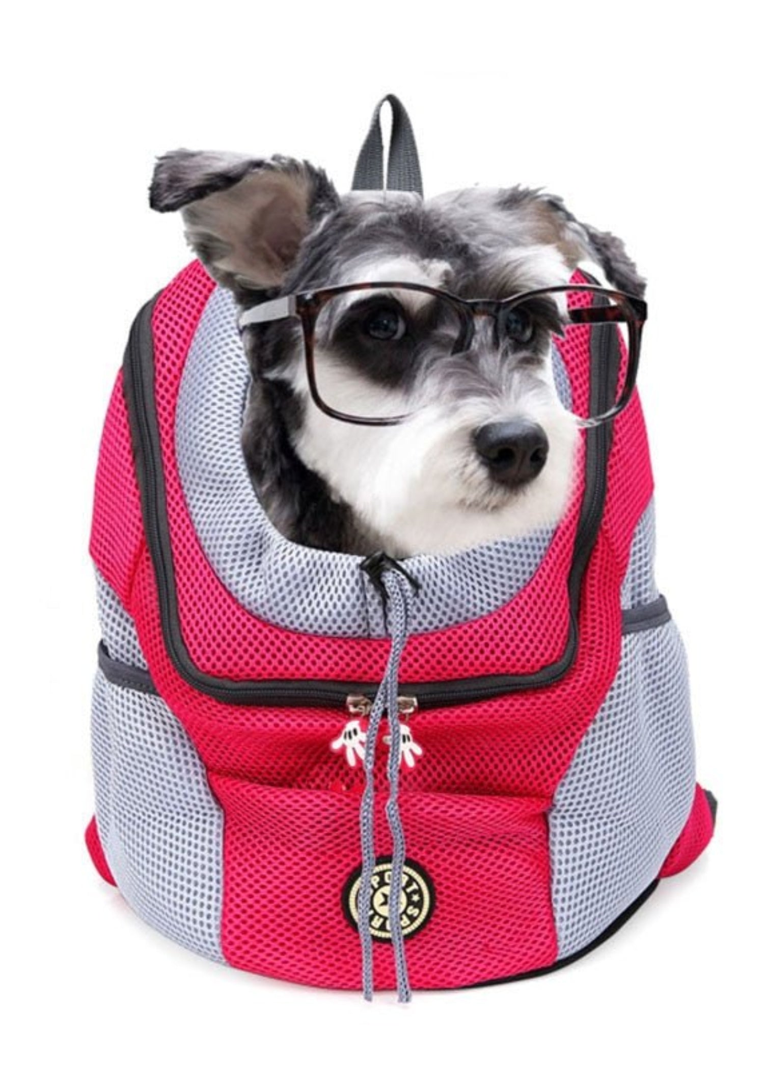 Portable Travel Backpack Outdoor Pet Dog Carrier - Best Buddy Store