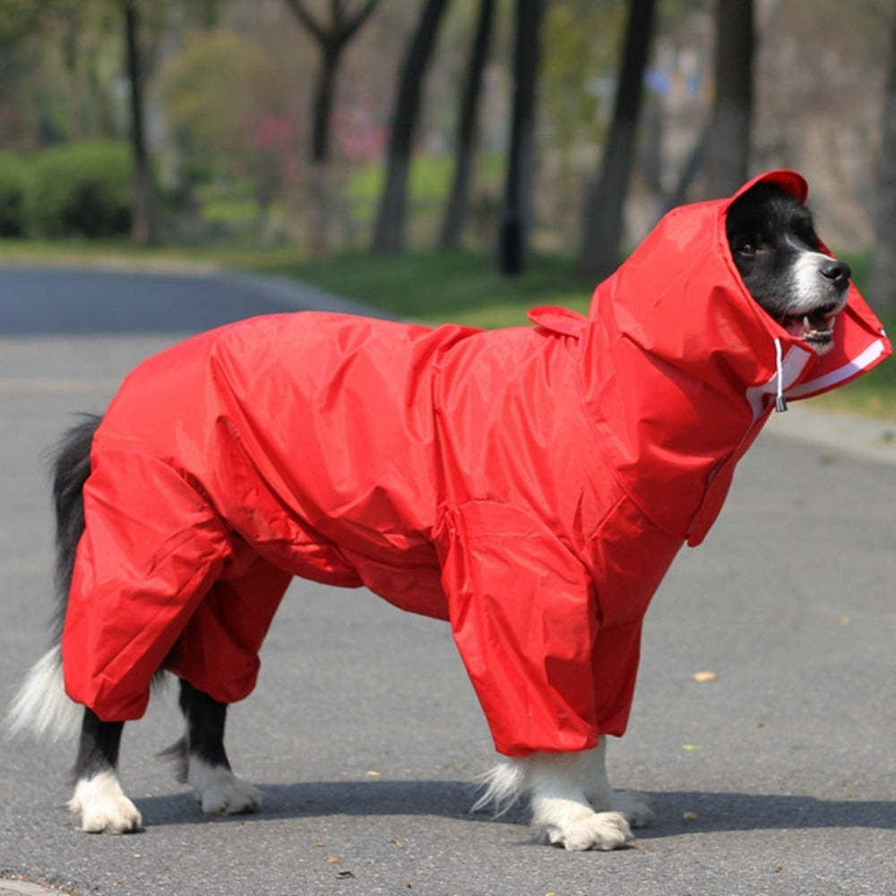 Buddy Yellow Dog Raincoat - Waterproof Raincoat