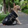 Cargar imagen en el visor de la galería, Dog Backpack Carrier Hiking Bag - BestBuddyStore
