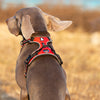 Pet Reflective No Pull Harness Adjustable Dog Vest Safety Lead Walking - BestBuddyStore