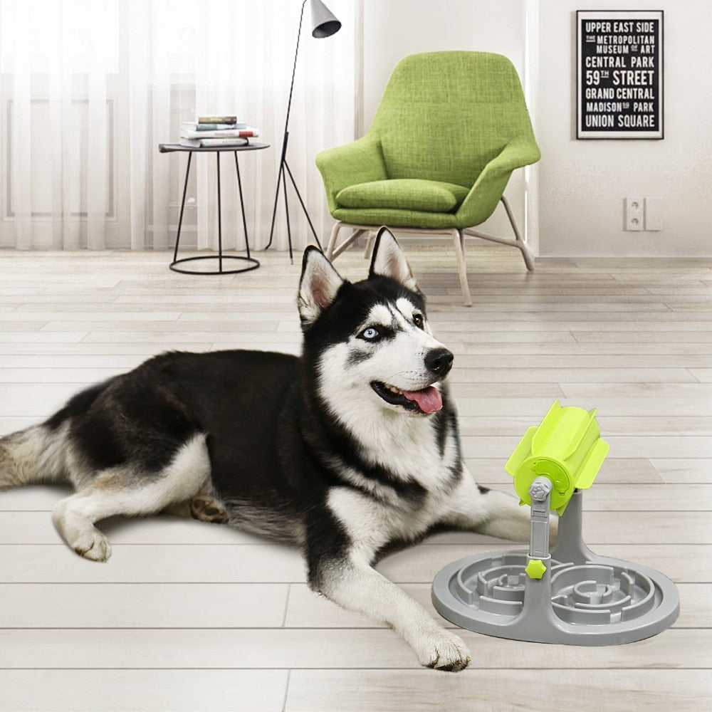 Slow Feeder Dog Bowl Interactive Slow Eating Training - BestBuddyStore