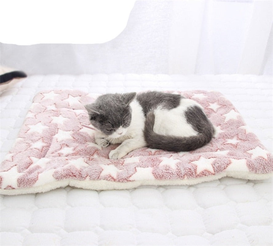 Pet Soft Thickened Fleece Blanket - BestBuddyStore