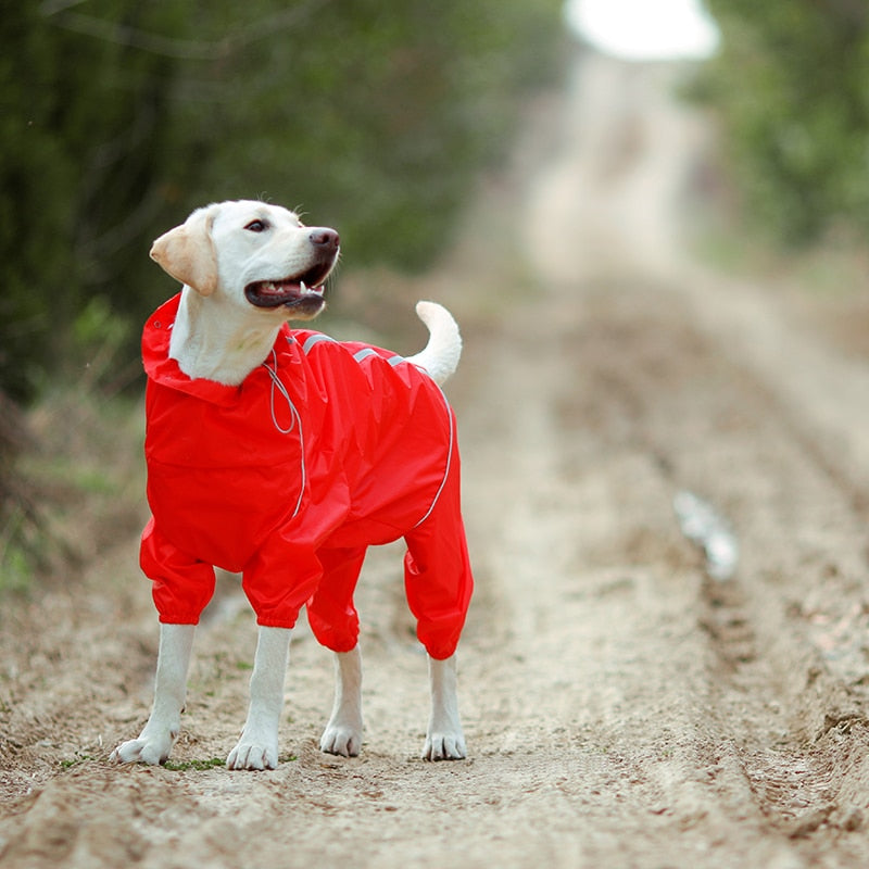 Dog Reflective Raincoat Waterproof Zipper Clothes High Neck Hooded Jumpsuit - BestBuddyStore