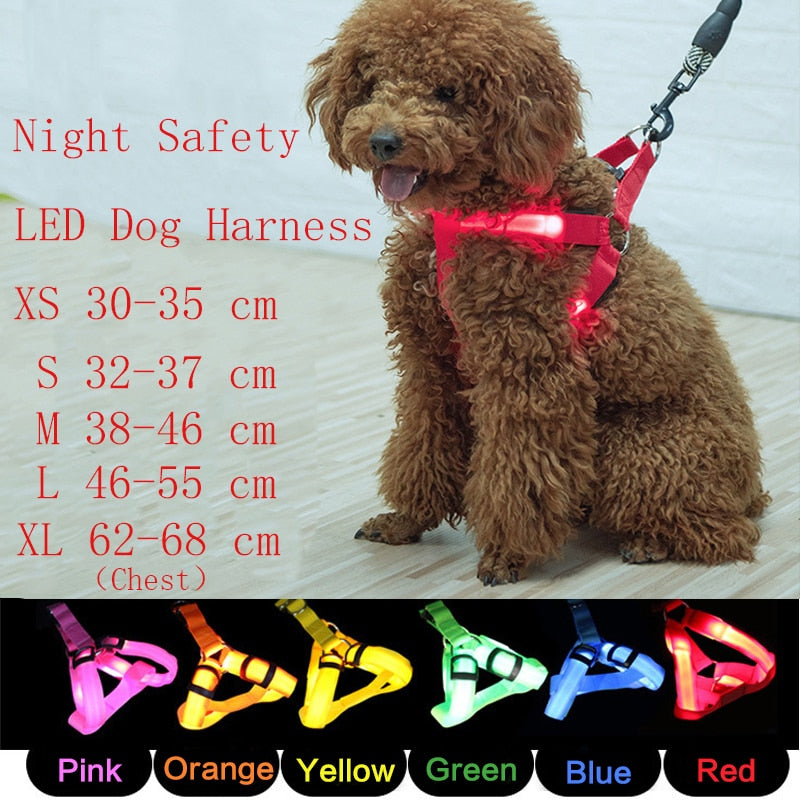 Pet Safety LED Harness Dog Flashing Light Harness LED Dog Harness Leash Rope Belt LED Dog Collar Vest - BestBuddyStore
