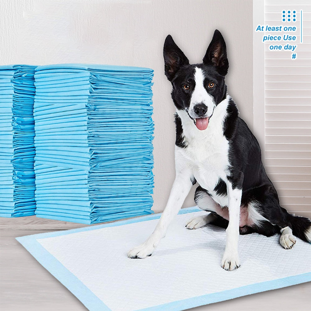Super Absorbent Pet Diaper Dog Training Pee Pads Disposable Healthy Nappy Mat For Cats Dog Diapers Cage Mat - BestBuddyStore