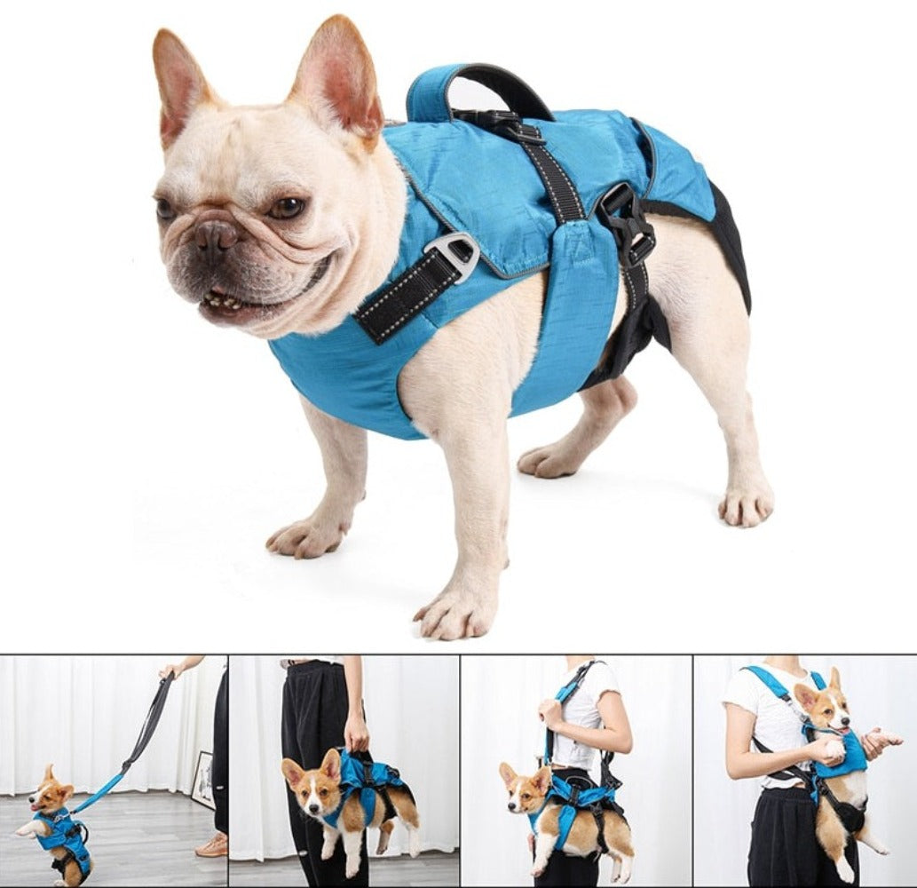 Dog Chest Carrier Harness Backpack with Walking Lead - BestBuddyStore