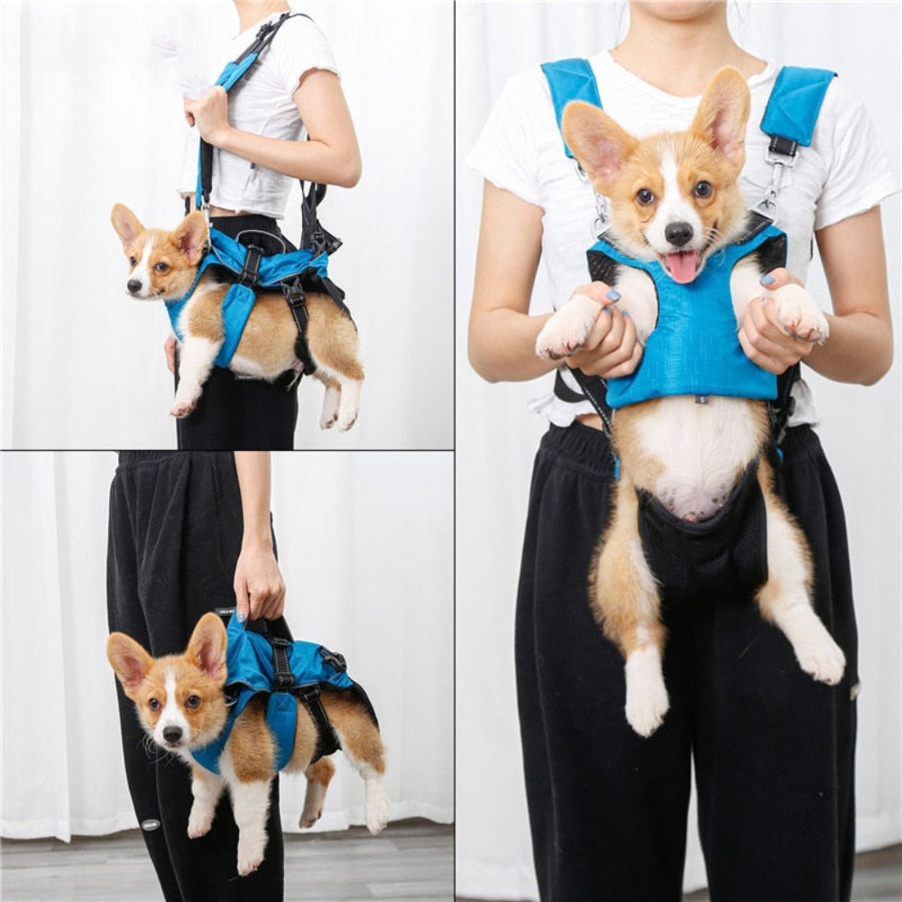 Dog Chest Carrier Harness Backpack with Walking Lead - BestBuddyStore