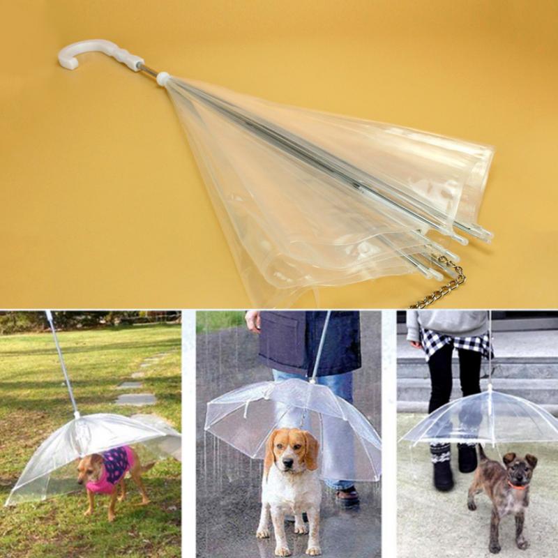Transparent Dog Umbrella with Dog Leads - BestBuddyStore