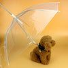 Load image into Gallery viewer, Transparent Dog Umbrella with Dog Leads - BestBuddyStore