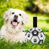 Durable Dog Ball IQ Puzzle Chew Toy Ball - 6.5in - BestBuddyStore