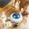 Cat UFO Interactive Teaser Toy - BestBuddyStore