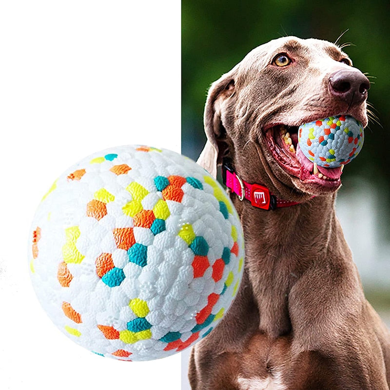 Solid Interactive Bite Resistant Dog Ball - BestBuddyStore