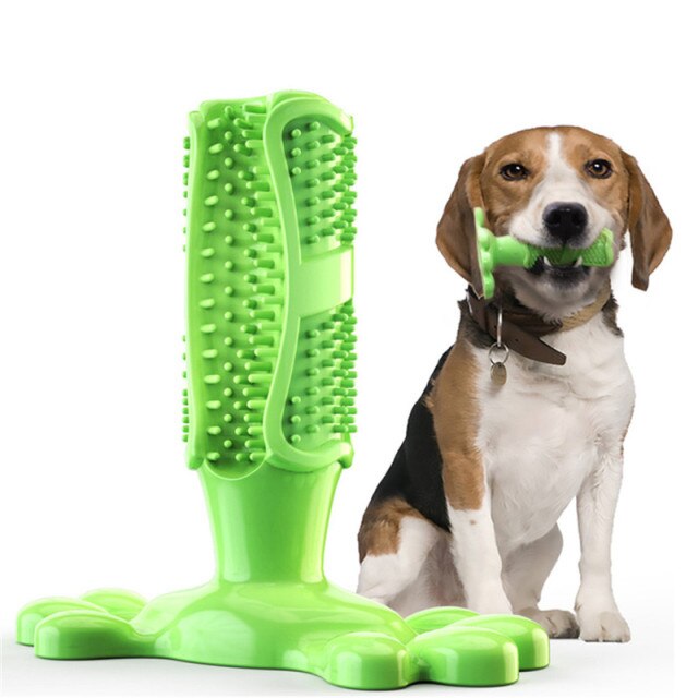 Dog Toothbrush Dental Care Molar Chewbrush - BestBuddyStore
