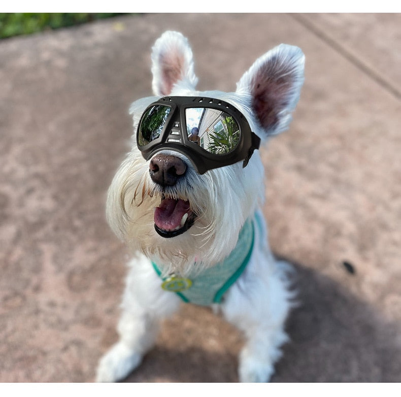 Dog Sunglasses Goggles Large & Small Breed - BestBuddyStore