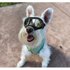 Dog Sunglasses Goggles Large & Small Breed - BestBuddyStore