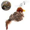 Singing Sparrow Shaped Bird Cat Toy - BestBuddyStore