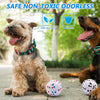 Cargar imagen en el visor de la galería, Solid Interactive Bite Resistant Dog Ball - BestBuddyStore