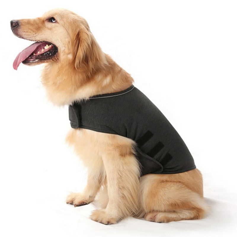 Anti Anxiety Dog Vest - BestBuddyStore