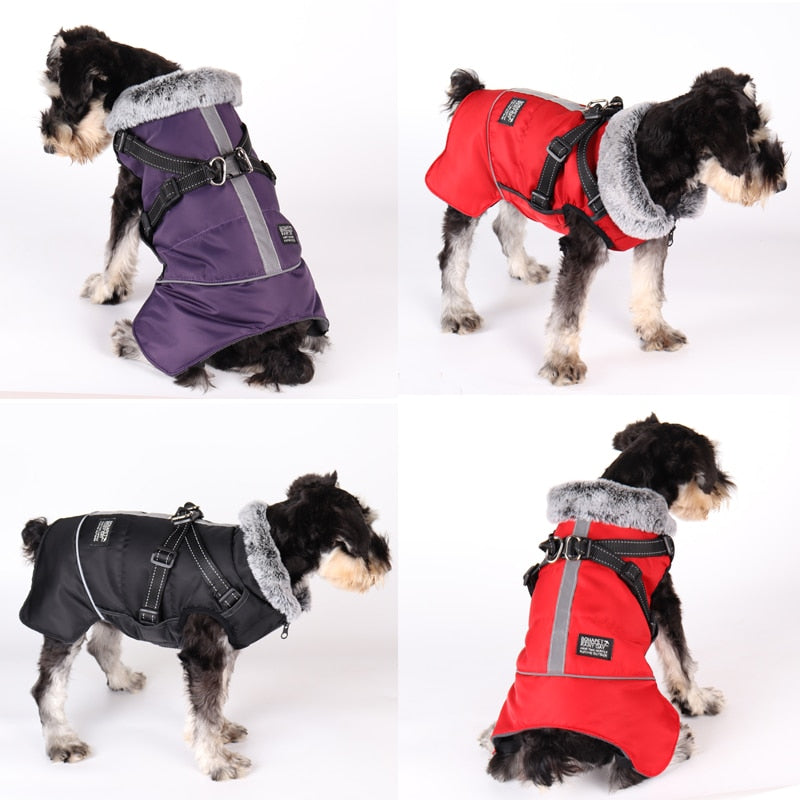 Dog Waterproof Coat Winter Jacket With Harness - BestBuddyStore