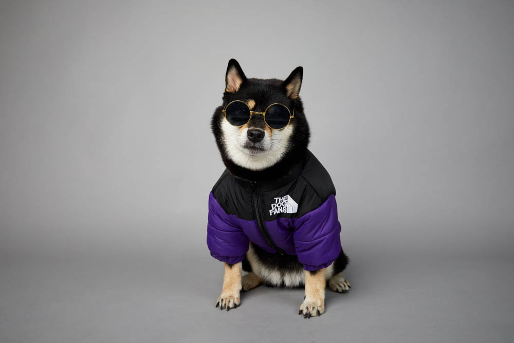Warm Windproof Winter Dog Coat Jacket - BestBuddyStore