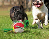 Cargar imagen en el visor de la galería, Interactive Dog Soccer Ball Toy with Durable Grab Tabs - BestBuddyStore
