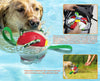 Interactive Dog Soccer Ball Toy with Durable Grab Tabs - BestBuddyStore