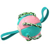 Cargar imagen en el visor de la galería, Interactive Dog Soccer Ball Toy with Durable Grab Tabs - BestBuddyStore