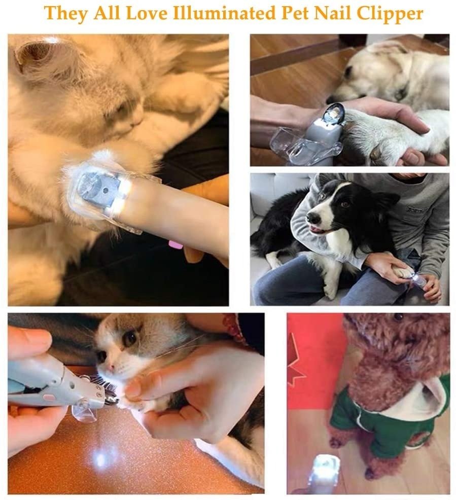 Professional Dog LED Nail Clipper - Best Buddy Store